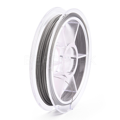 Non-Tarnish Tiger Tail Wire TWIR-N004-0.4mm-P-1