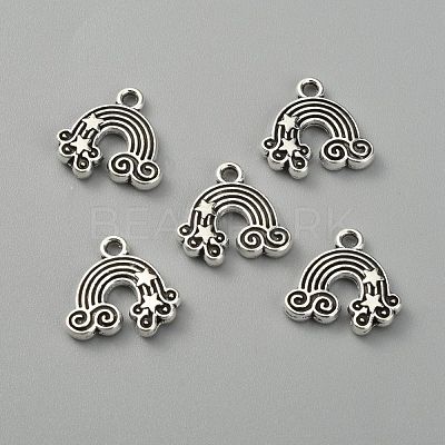 Tibetan Style Alloy Charms FIND-CJC0007-07-1