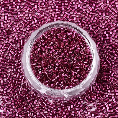 FGB 11/0 Grade A Glass Seed Beads X-SEED-S030-1211-1