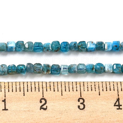 Natural Apatite Beads Strands G-P457-B01-14-1