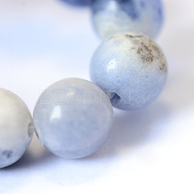 Natural Sodalite Round Bead Strands X-G-E334-4mm-08-1