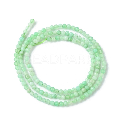 Natural Chrysoprase Beads Strands G-F748-X01-01A-1