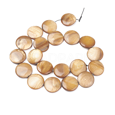 Natural Freshwater Shell Beads BSHE-I011-01A-01-1