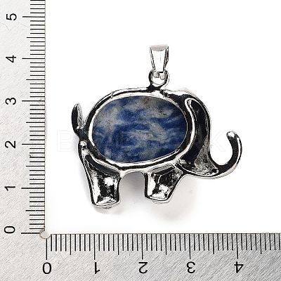 Natural Blue Spot Jasper Pendants G-G112-01P-12-1