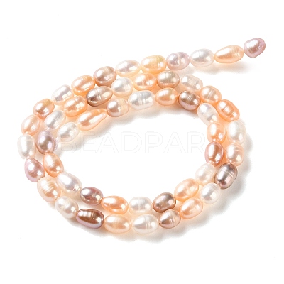 Natural Cultured Freshwater Pearl Beads Strands PA-CBABE82-01B-1