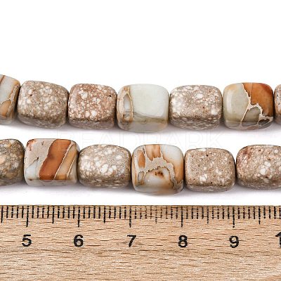 Natural Aqua Terra Jasper Beads Strands G-B155-D15-1