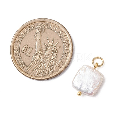 Natural Nucleated Pearl Keshi Pendants PALLOY-JF04626-01-1