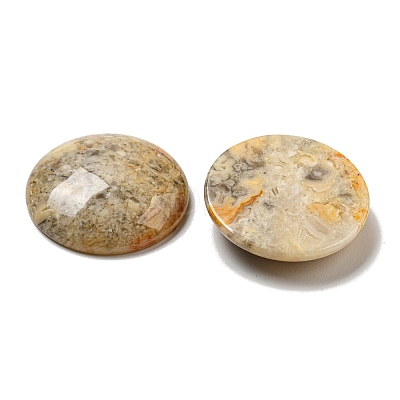 Natural Crazy Agate Cabochons G-C115-02B-23-1
