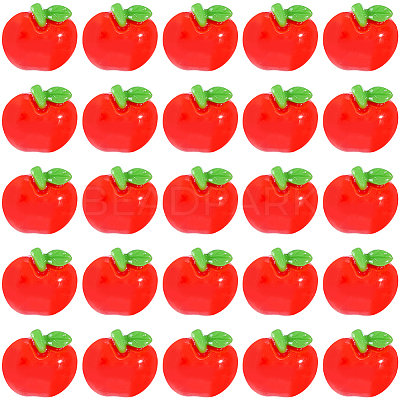 60Pcs Resin Decoden Cabochons CRES-SP0001-24-1