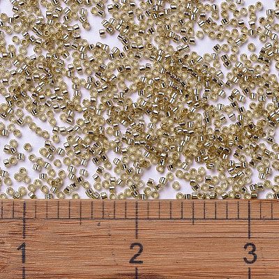 MIYUKI Delica Beads SEED-J020-DB2155-1