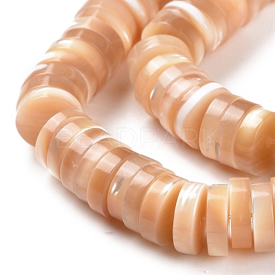 Natural Trochid Shell/Trochus Shell Beads Strands SSHEL-L016-13D-1