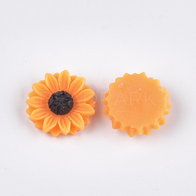 Resin Cabochons CRES-T010-60B-1