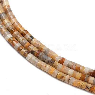 Natural Crazy Agate Beads Strands G-H230-82-1