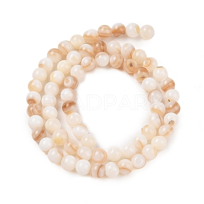 Natural Freshwater Shell Beads Strands X-SHEL-T011-02-6mm-1