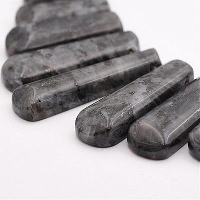 Natural Larvikite Beads Strands G-P298-J01-1