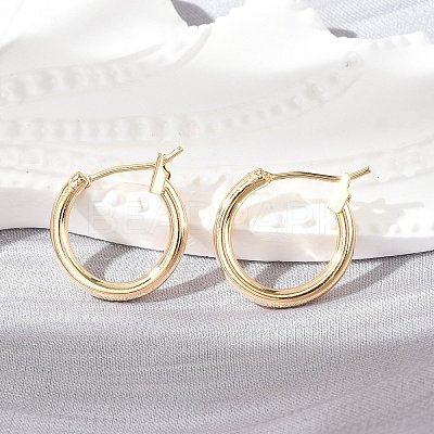 Brass Hoop Earrings KK-S356-150G-NF-1