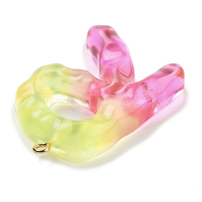 Resin Pendant FIND-Q107-01R-02-1