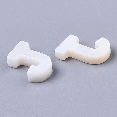 Natural Freshwater Shell Beads SHEL-T012-59J-1