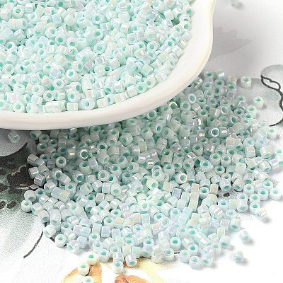 Cylinder Seed Beads SEED-H001-B01-1