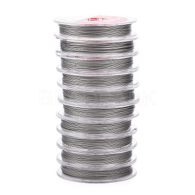 Non-Tarnish Tiger Tail Wire TWIR-N004-0.4mm-P-1