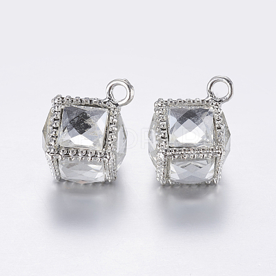 Alloy Glass Pendants PALLOY-G212-01P-1