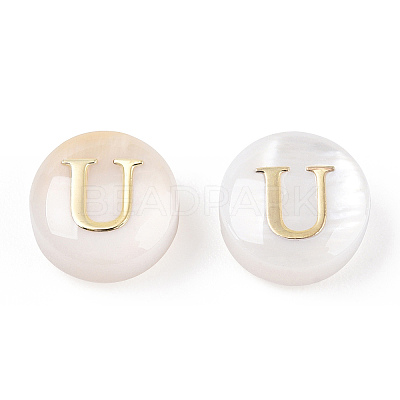 Natural Freshwater Shell Beads SHEL-N036-01U-1