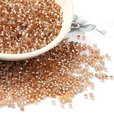 Glass Seed Beads X-SEED-S042-04B-17-1