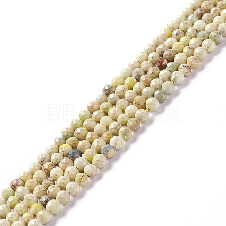 Natural Imperial Jasper Beads Strands G-L578-A07-1