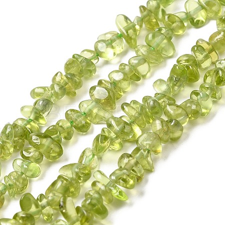 Natural Peridot Beads Strands G-F328-34A-1