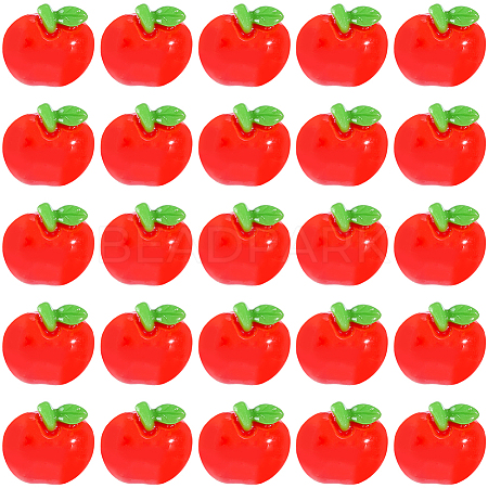 60Pcs Resin Decoden Cabochons CRES-SP0001-24-1