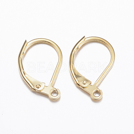 316L Surgical Stainless Steel Leverback Earring Findings STAS-E194-03G-1