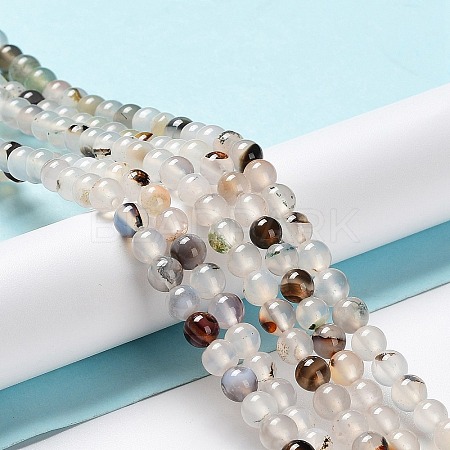 Natural Dendritic Agate Beads Strands G-D845-04-10mm-1