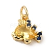 Brass Micro Pave Cubic Zirconia Pendants KK-R162-014C-G-1