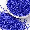 12/0 Glass Seed Beads SEED-J014-F12-48-1