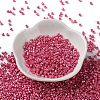 Baking Paint Glass Seed Beads SEED-S042-15A-05-2