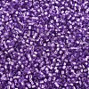 MIYUKI Delica Beads SEED-X0054-DB1343-3