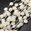 Natural Trochid Shell/Trochus Shell Beads Strands SSHEL-K010-02-1