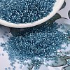 MIYUKI Delica Beads X-SEED-J020-DB2383-1