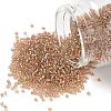 MIYUKI Round Rocailles Beads X-SEED-G007-RR3521-1