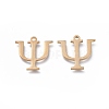 304 Stainless Steel Charms STAS-K215-11G-2