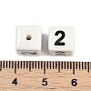 Glazed Porcelain Beads PORC-R003-07-02-3