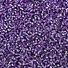 MIYUKI Delica Beads X-SEED-J020-DB2168-3