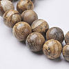 Natural Gemstone Beads Strands X-GSR12mmC016-2