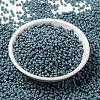 MIYUKI Round Rocailles Beads SEED-X0055-RR4479-2