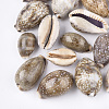 Cowrie Shell Beads SSHEL-S258-59A-1