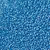 MIYUKI Round Rocailles Beads SEED-G008-RR0573-3
