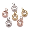 Brass Micro Pave Clear Cubic Zirconia Charms ZIRC-G153-34-1