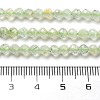 Natural Prehnite Beads Strands G-G161-A13-03-5