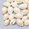 Cowrie Shell Beads X-SSHEL-T004-08-1