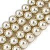 Baking Paint Pearlized Glass Pearl Round Bead Strands PEAR-H019-02D-14-1